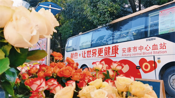 安康這三兄妹，熱血！