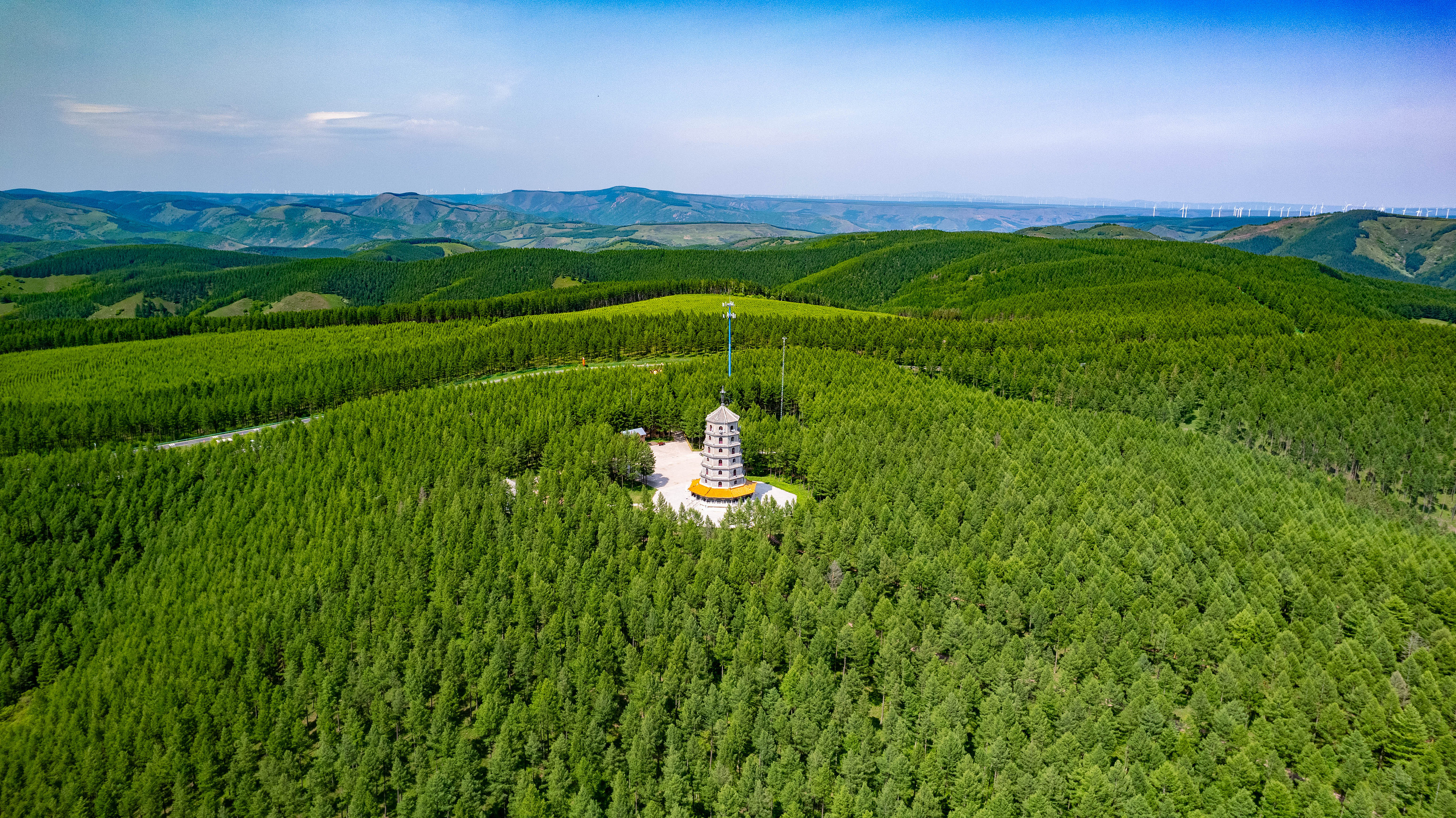 2025年6月11日，河北承德，塞罕壩林海浩渺。