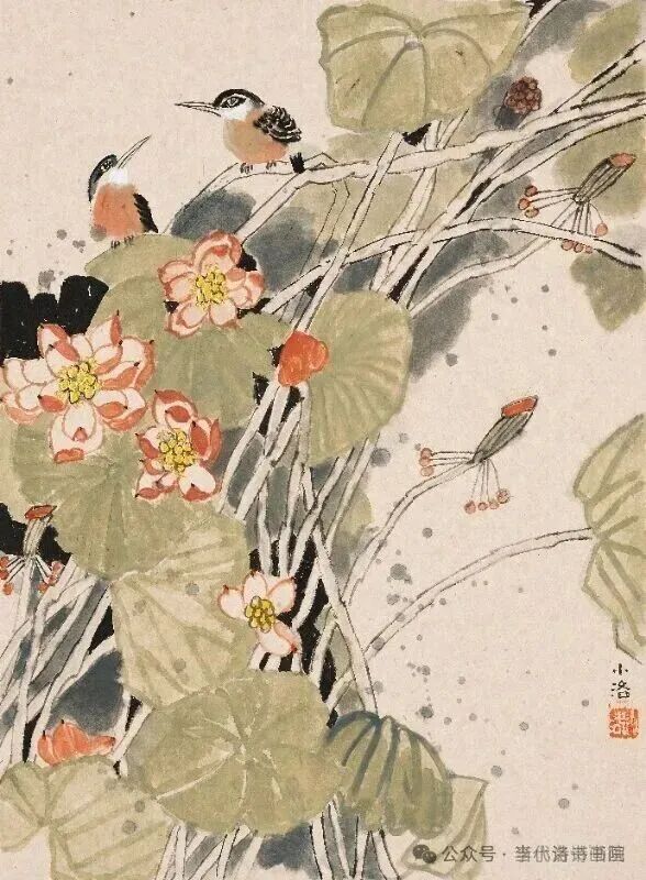 圖片